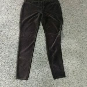 hue stretch pants